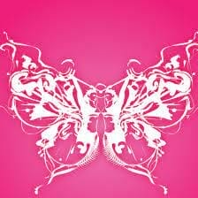 Butterfly 1